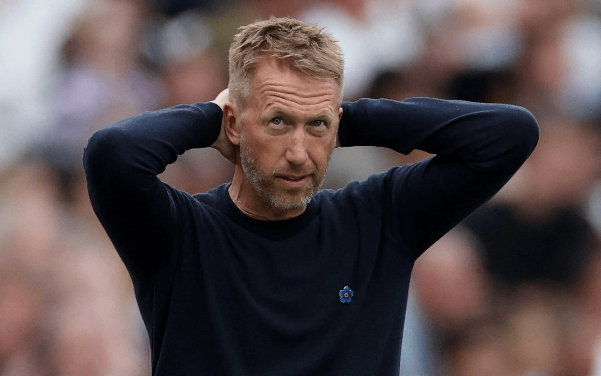 际比赛日之, img, 内任命一位 际比赛日之, img, 内任命一位