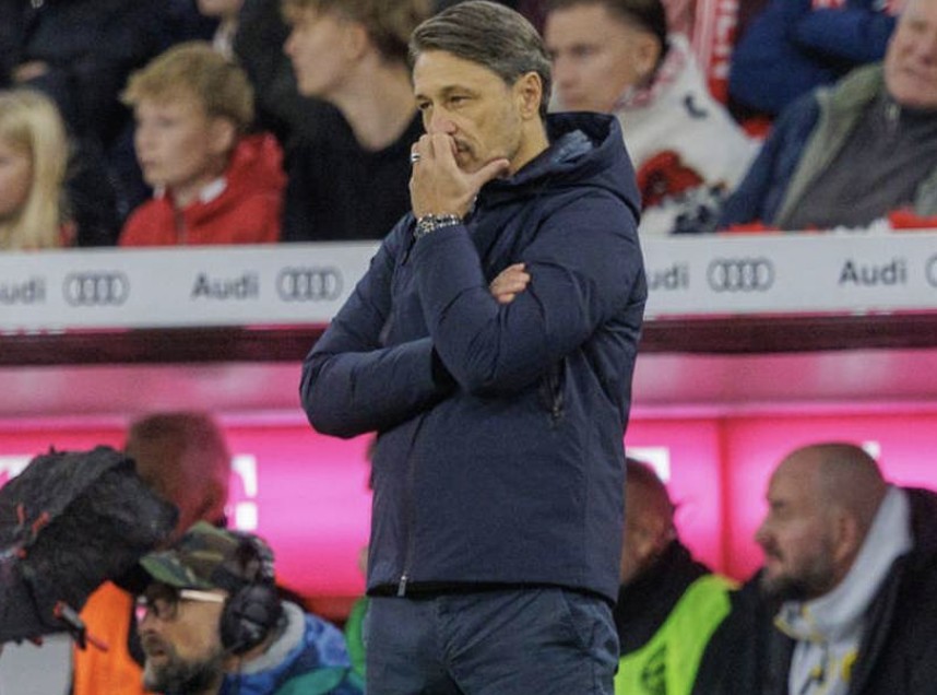 点都没被娱, 问题是 点都没被娱, 问题是